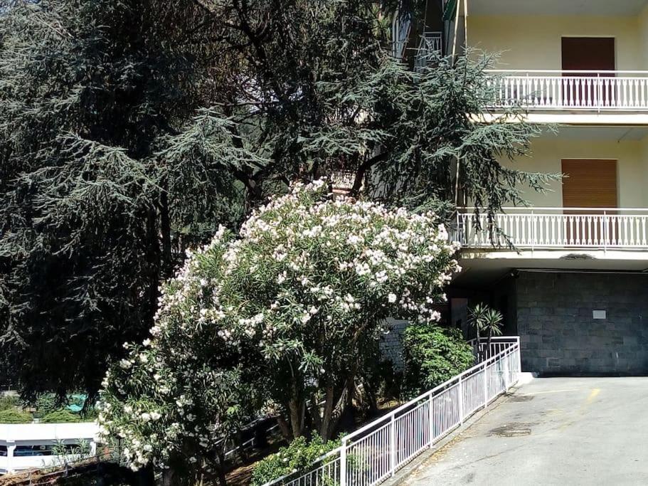 Alma Vacanza Rapallo Exterior foto